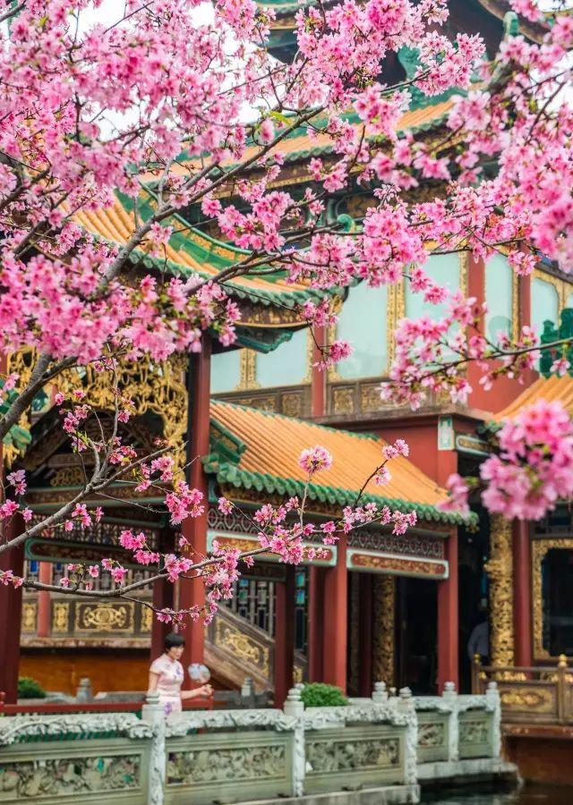 深圳周边自驾游玩攻略路线推荐(推荐你9条深圳周边短途自驾线路)(9)