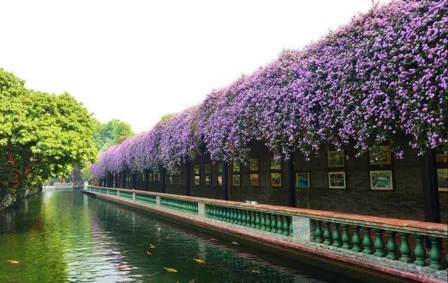 深圳周边自驾游玩攻略路线推荐(推荐你9条深圳周边短途自驾线路)(12)