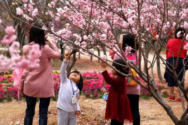 深圳周边自驾游玩攻略路线推荐(推荐你9条深圳周边短途自驾线路)(28)