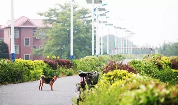 深圳周边自驾游玩攻略路线推荐(推荐你9条深圳周边短途自驾线路)(32)