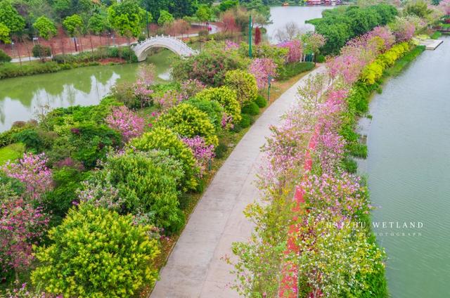 深圳周边自驾游玩攻略路线推荐(推荐你9条深圳周边短途自驾线路)(17)