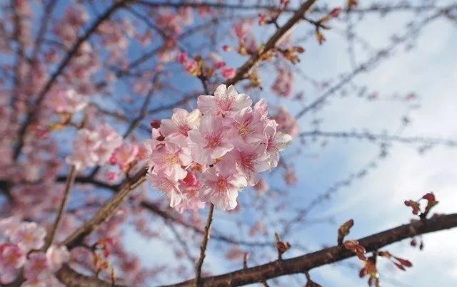 深圳周边自驾游玩攻略路线推荐(推荐你9条深圳周边短途自驾线路)(25)