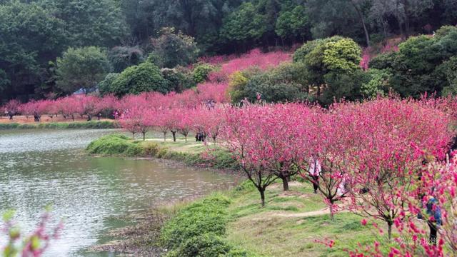 深圳周边自驾游玩攻略路线推荐(推荐你9条深圳周边短途自驾线路)(22)