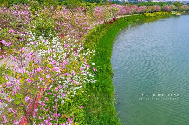 深圳周边自驾游玩攻略路线推荐(推荐你9条深圳周边短途自驾线路)(18)