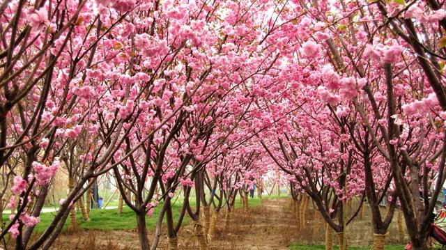 深圳周边自驾游玩攻略路线推荐(推荐你9条深圳周边短途自驾线路)(26)