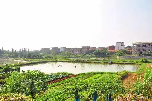 深圳周边自驾游玩攻略路线推荐(推荐你9条深圳周边短途自驾线路)(33)