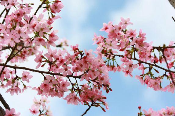 深圳周边自驾游玩攻略路线推荐(推荐你9条深圳周边短途自驾线路)(27)