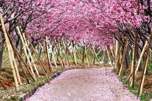 深圳周边自驾游玩攻略路线推荐(推荐你9条深圳周边短途自驾线路)(24)