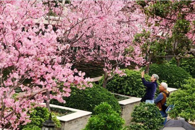深圳周边自驾游玩攻略路线推荐(推荐你9条深圳周边短途自驾线路)(10)