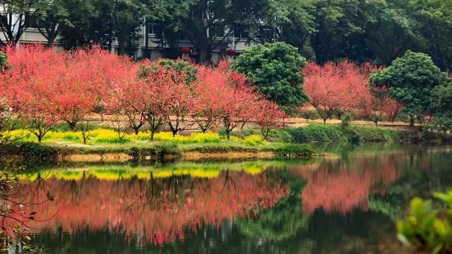 深圳周边自驾游玩攻略路线推荐(推荐你9条深圳周边短途自驾线路)(19)