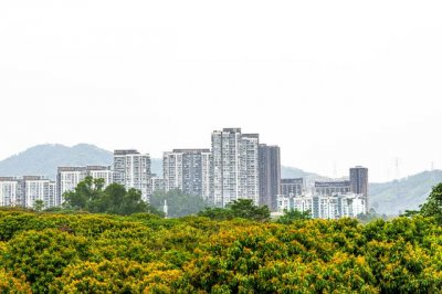 ​深圳最值得去的公园有哪些（深圳10个最具情怀公园）