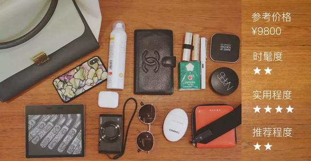 全球最值得买的10款包包（这10个女生都喜欢的奢侈品包包）(17)