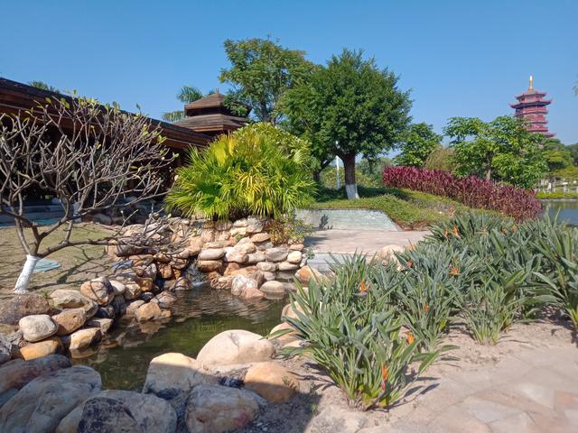 厦门园博苑各园区景点介绍（厦门园博苑真美）(58)