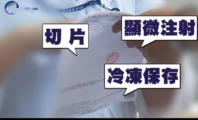 林志玲透露积极备孕引热议(台媒曝44岁林志玲做试管婴儿)(4)