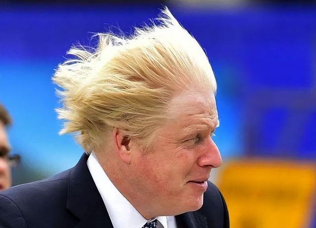 鲍里斯 英国首相（英国奇葩首相鲍里斯）(6)
