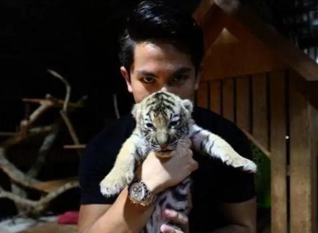 文莱王子与吴尊的关系(文莱王子颜值不输吴尊)(12)