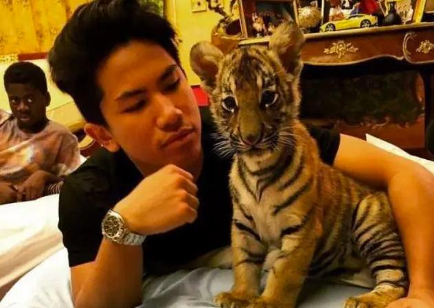 文莱王子与吴尊的关系(文莱王子颜值不输吴尊)(3)