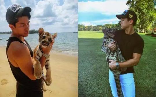 文莱王子与吴尊的关系(文莱王子颜值不输吴尊)(11)