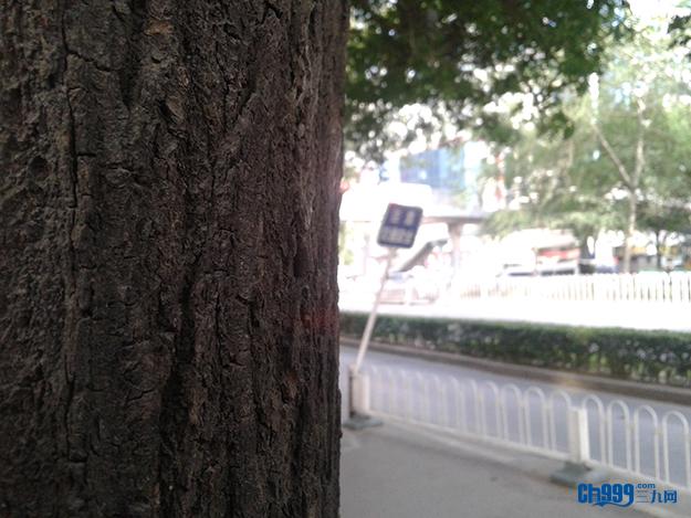 三星beam2值得买吗（投你所好三星Galaxy）(26)