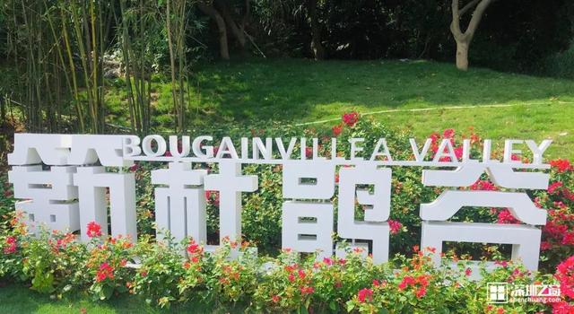 深圳福田红树林生态公园介绍(深圳这个新公园种满了)(7)