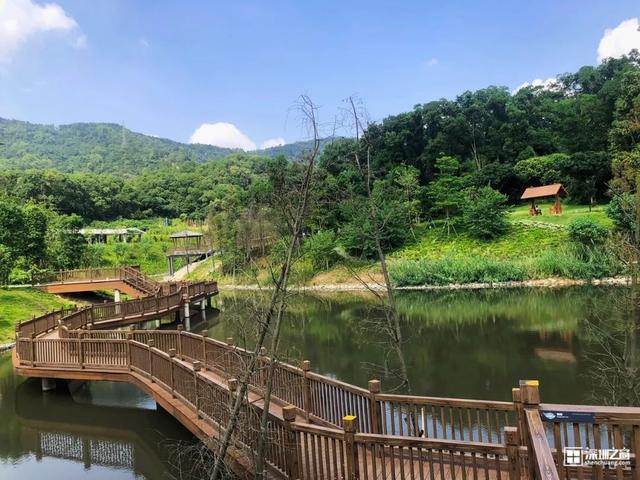 深圳福田红树林生态公园介绍(深圳这个新公园种满了)(37)