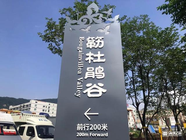 深圳福田红树林生态公园介绍(深圳这个新公园种满了)(51)