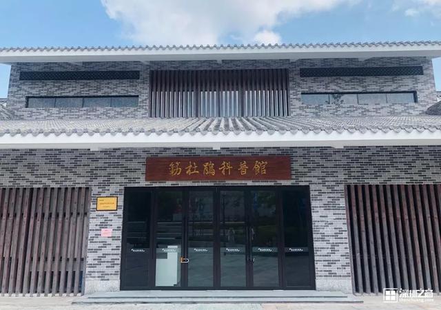 深圳福田红树林生态公园介绍(深圳这个新公园种满了)(33)