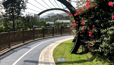 深圳福田红树林生态公园介绍(深圳这个新公园种满了)(12)