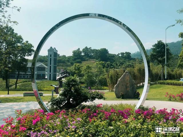 深圳福田红树林生态公园介绍(深圳这个新公园种满了)(50)