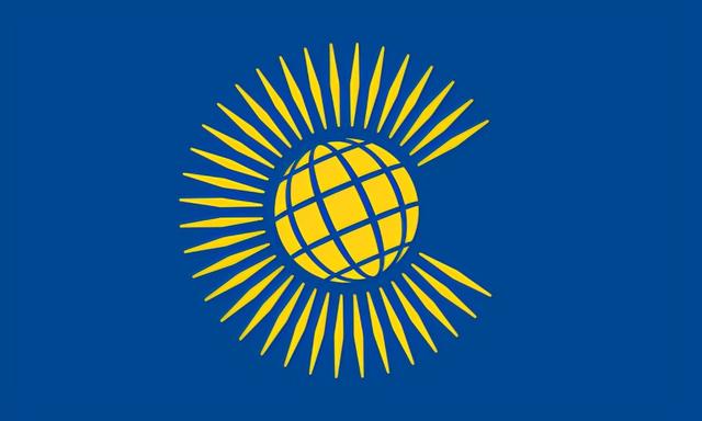 国际组织有哪些标志（国际组织旗帜标志一览）(72)