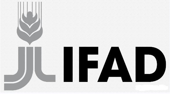 国际组织有哪些标志（国际组织旗帜标志一览）(26)