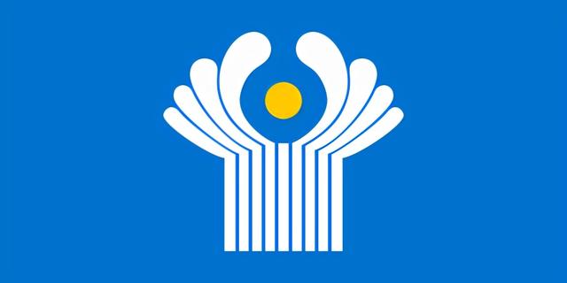 国际组织有哪些标志（国际组织旗帜标志一览）(50)