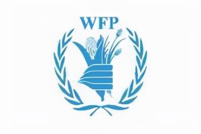 国际组织有哪些标志（国际组织旗帜标志一览）(31)