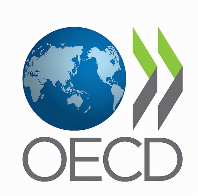 国际组织有哪些标志（国际组织旗帜标志一览）(71)