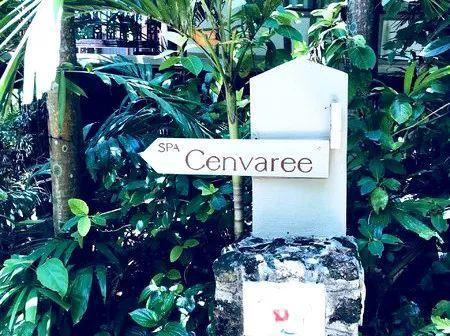 泰国本地的泰式按摩什么样子的(泰式SPA去泰国玩看完这8家)(15)