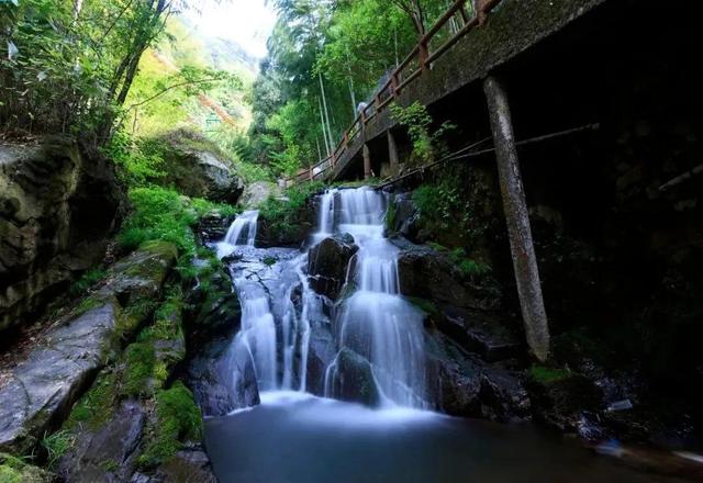 安吉旅游攻略景点排行榜(浙江安吉人气旅游景点推荐)(17)