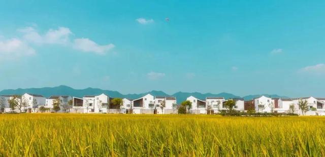 安吉旅游攻略景点排行榜(浙江安吉人气旅游景点推荐)(7)