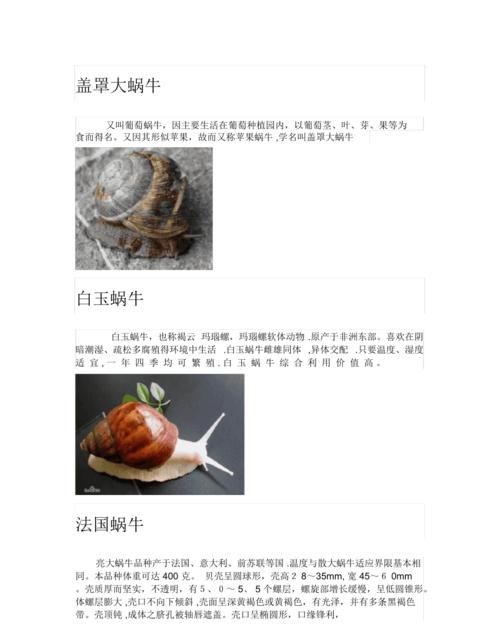 最强蜗牛中华夏的龙神资料