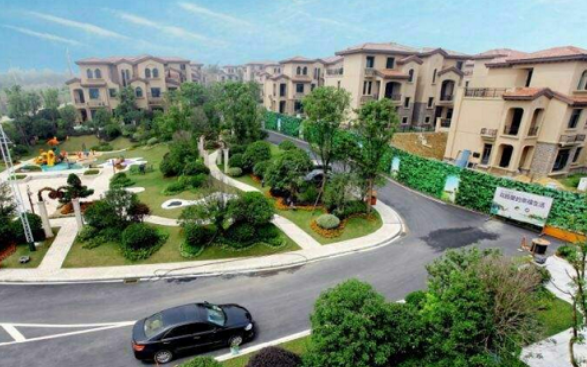 碧桂园小区名字的由来,碧桂园开始裁人了吗图4