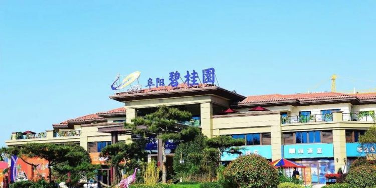 碧桂园开始裁人了吗