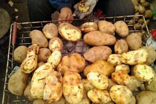 洋芋是土豆哪里土豆最好吃,哪里产的黄心土豆最好吃图6