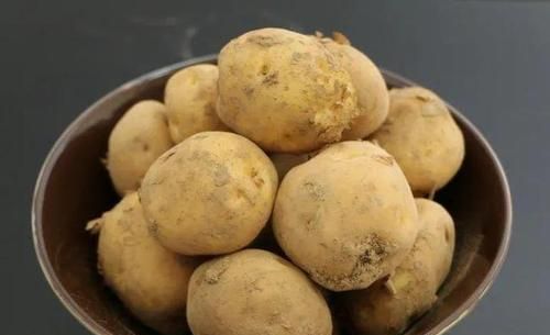 全中国哪里的土豆最好