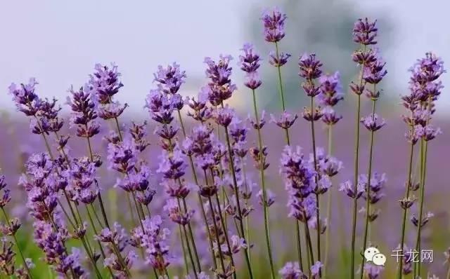 周末北京夏日游玩指南(这个夏天必做的50件事)(28)