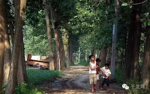 周末北京夏日游玩指南(这个夏天必做的50件事)(27)