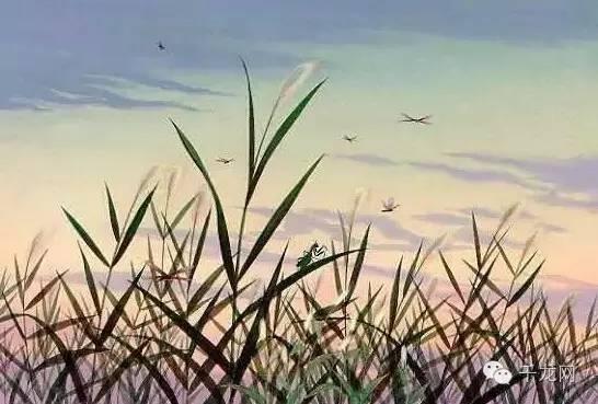 周末北京夏日游玩指南(这个夏天必做的50件事)(14)