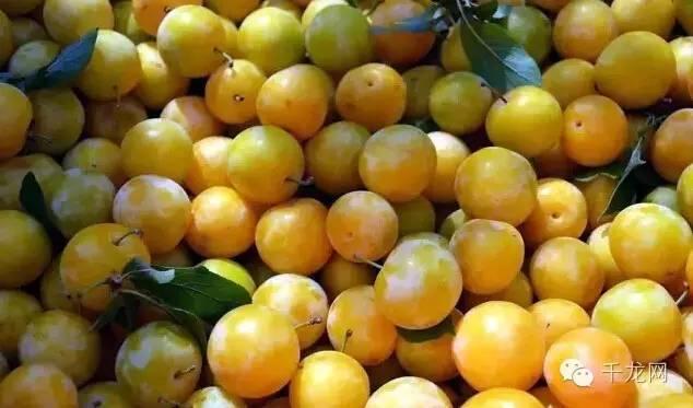 周末北京夏日游玩指南(这个夏天必做的50件事)(47)