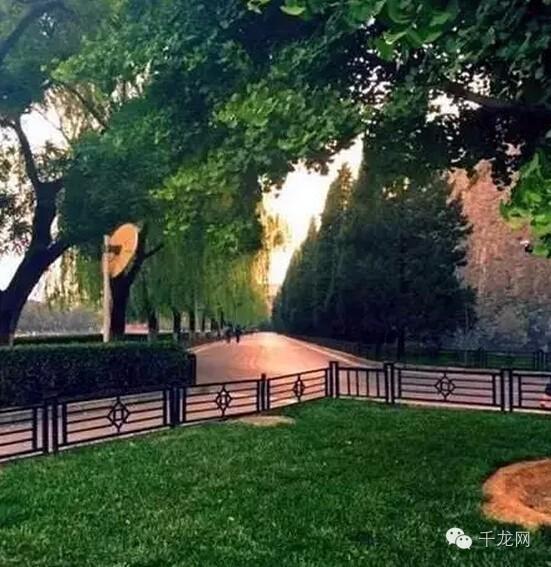 周末北京夏日游玩指南(这个夏天必做的50件事)(13)