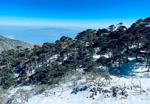 云南旅行必去景点大全(云南优质景点合集)(27)