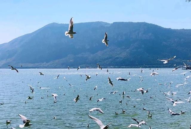 云南旅行必去景点大全(云南优质景点合集)(2)