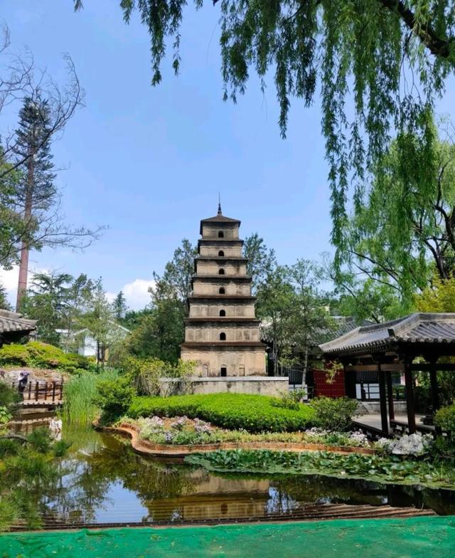 云南旅行必去景点大全(云南优质景点合集)(11)